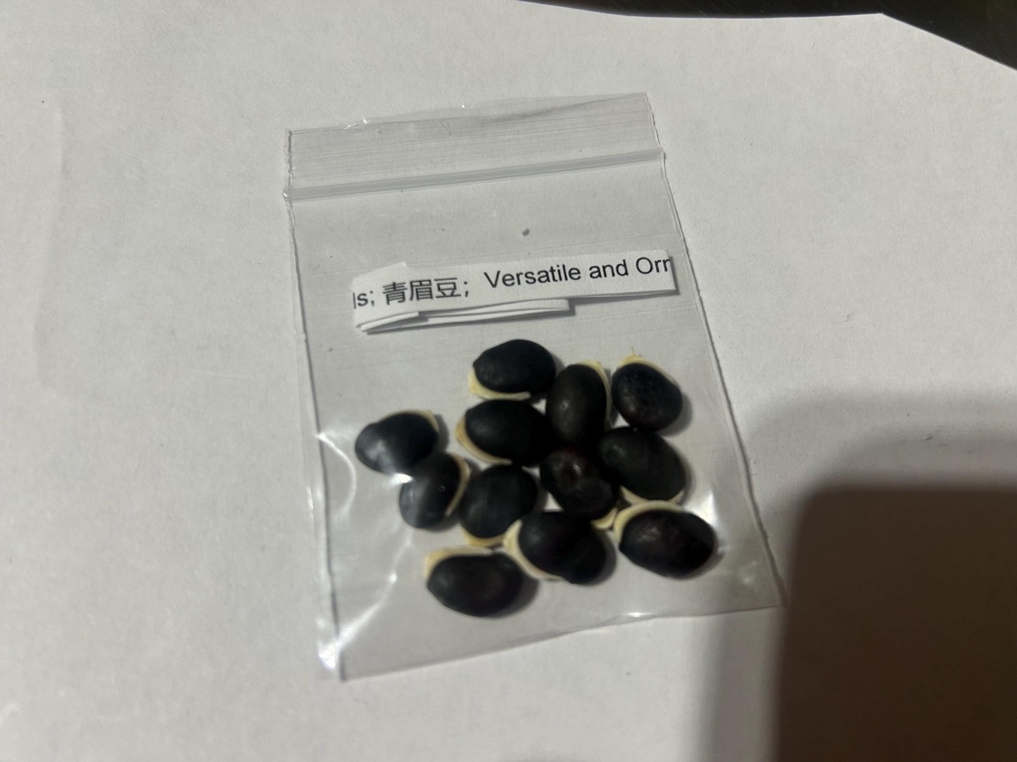 Certified Organic Hyacinth Bean Seeds; 青眉豆；Versatile and Ornamental; Edible from Spring to Frost; Dolichos Lablab Bataw; 12 Seeds