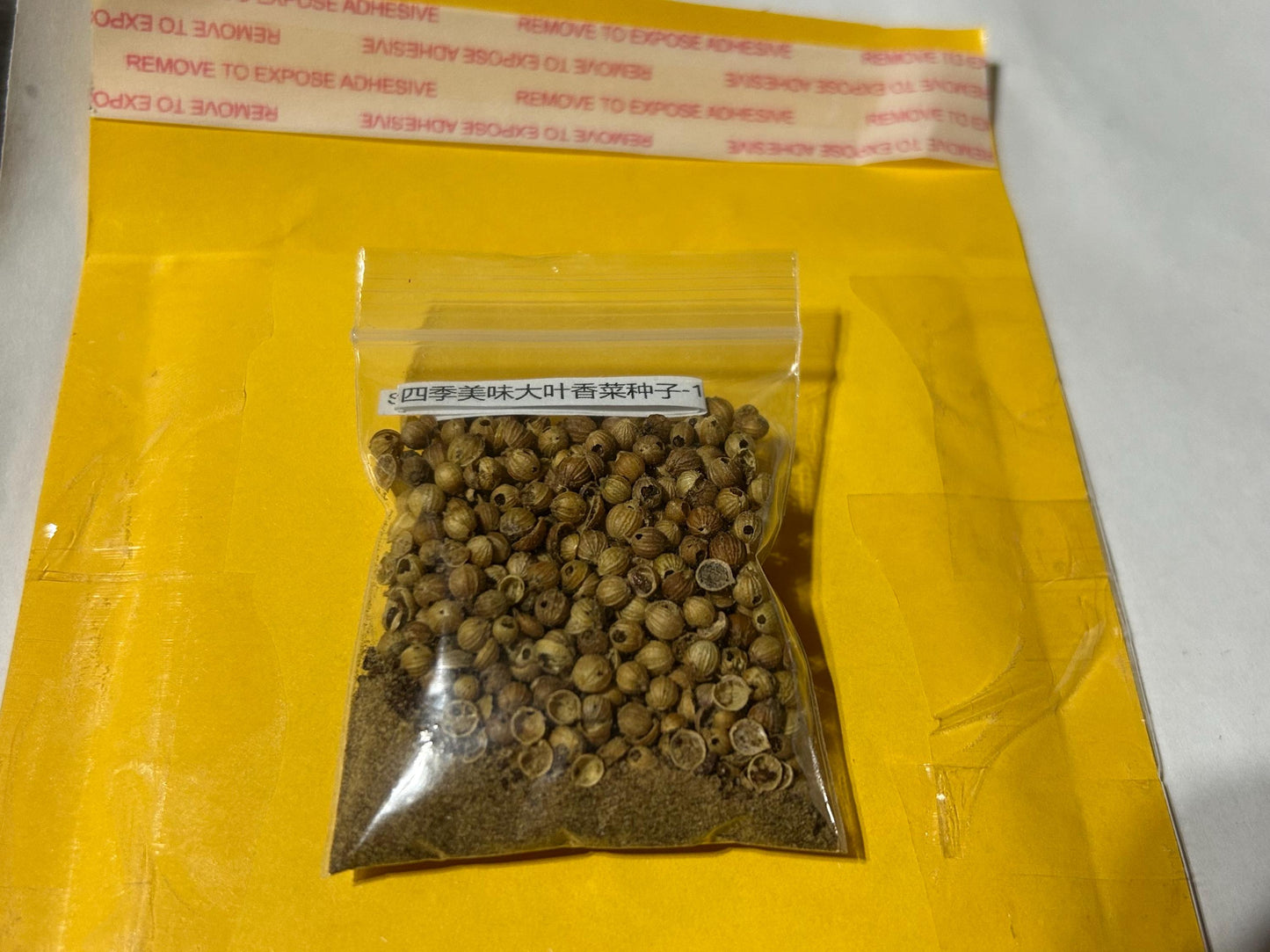 Seasonal Delicious Large Leaf Coriander Seeds -四季美味大叶香菜种子-100 Seeds per Packet