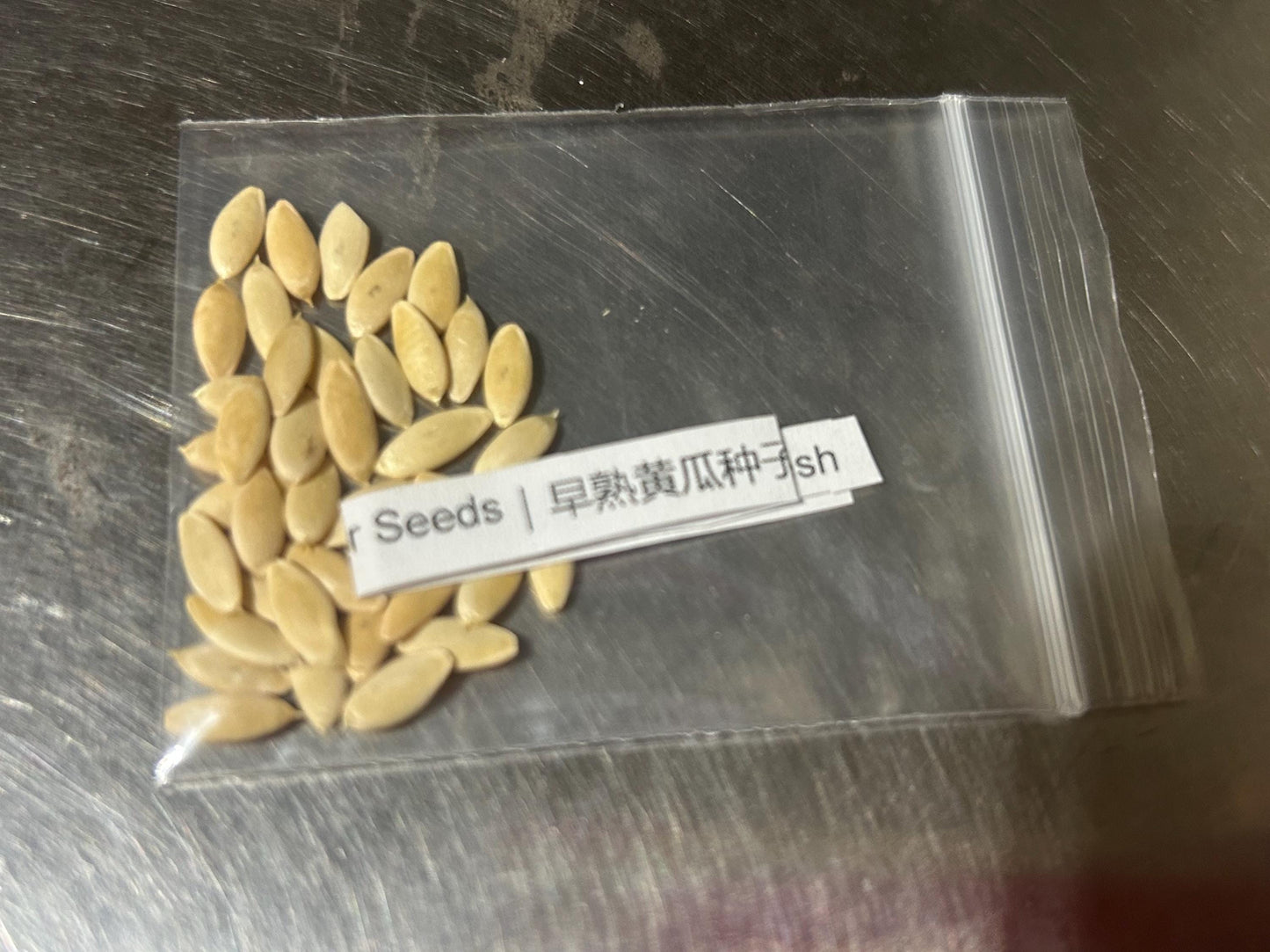 Early-Maturing Cucumber Seeds｜早熟黄瓜种子 - 40 Seeds/Pack | Cold-Tolerant | Crisp Flesh