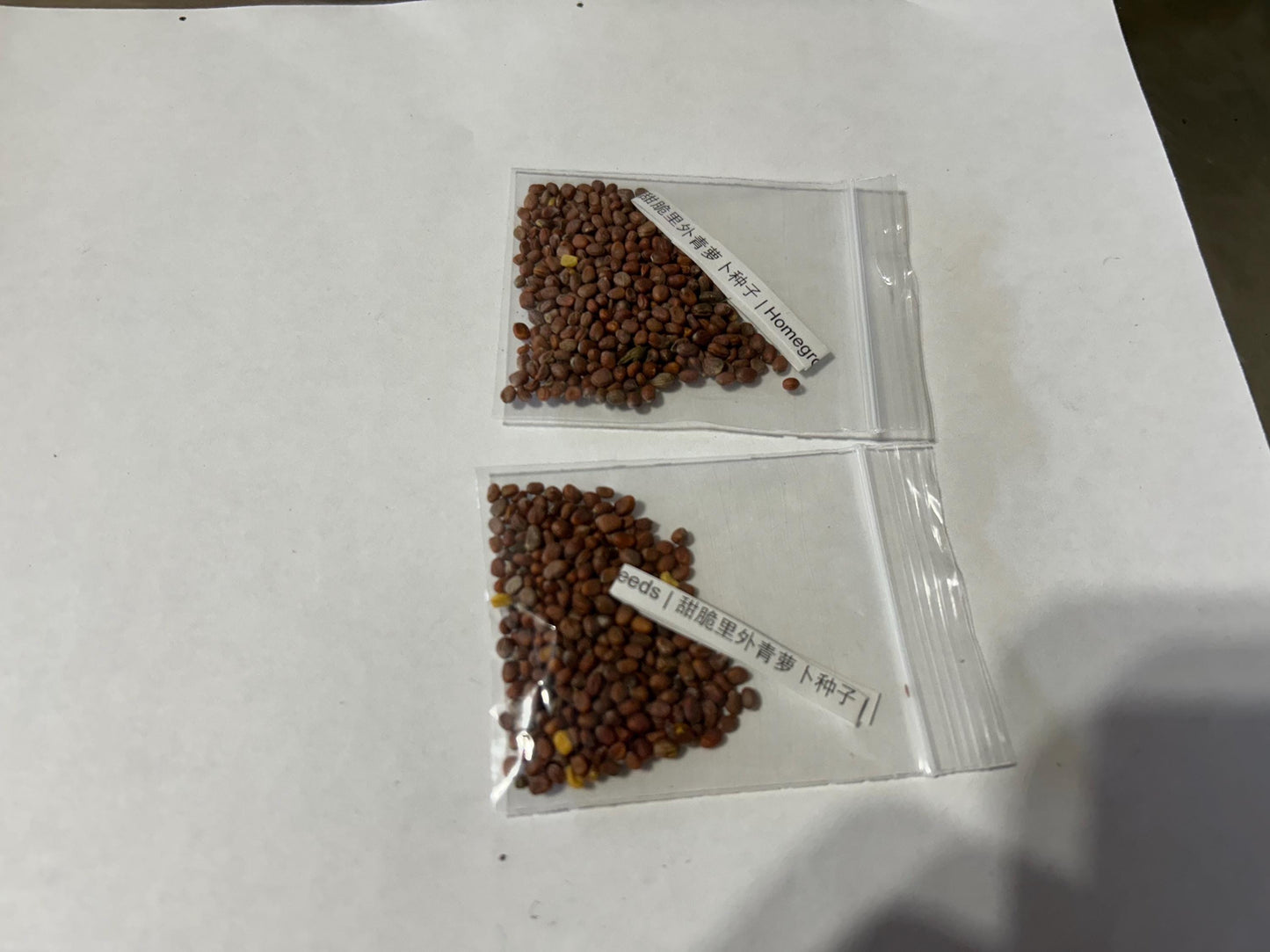 Sweet Crisp Green Radish Seeds – 100 Seeds | Homegrown Asian Heirloom | 甜脆里外青萝卜种子